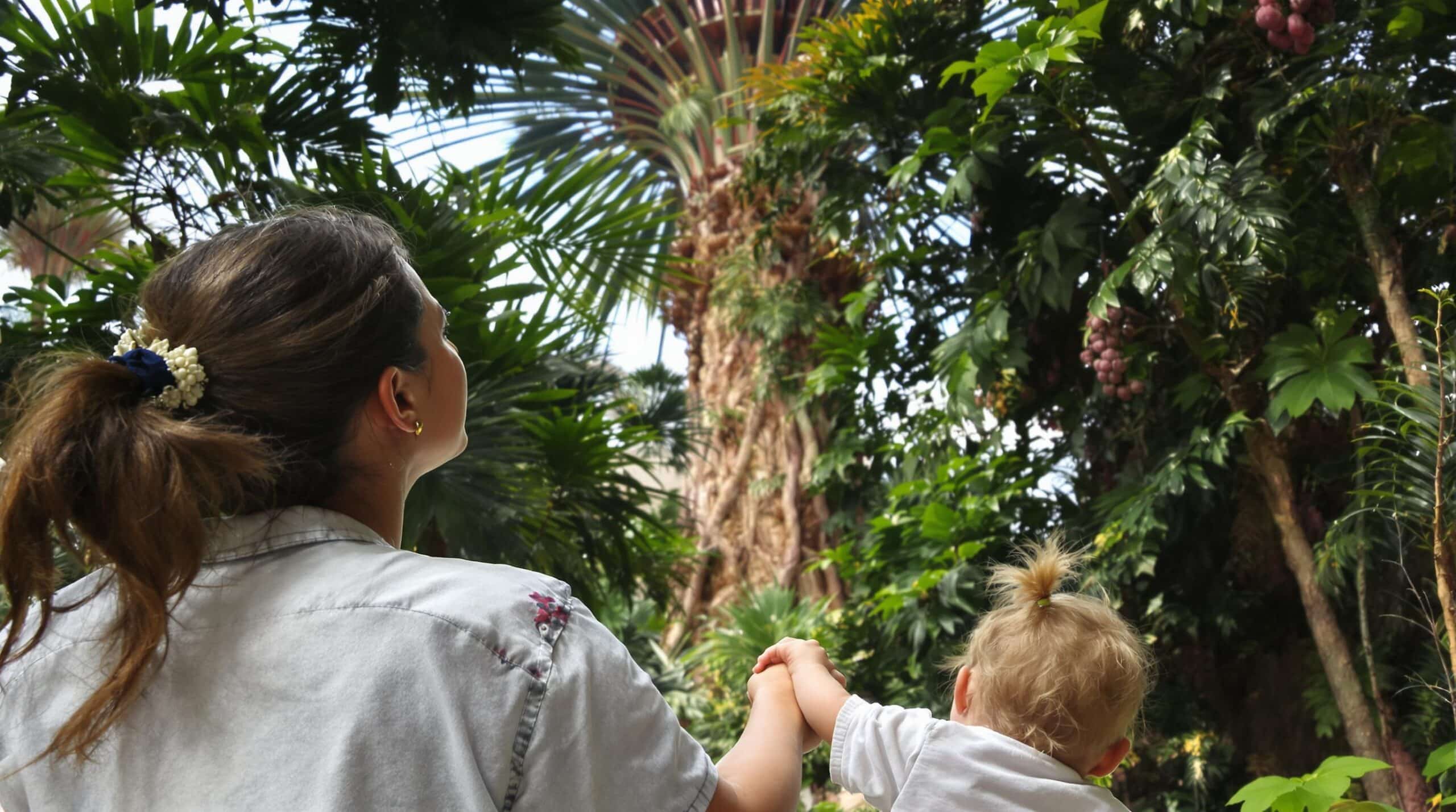 Kew Gardens, un parc aux 30000 plantes rares à Londres