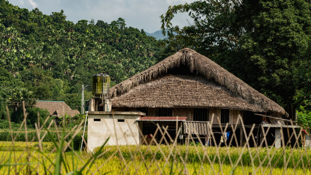 10 destinations nature en Inde
