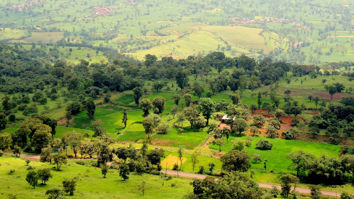 10 destinations nature en Inde