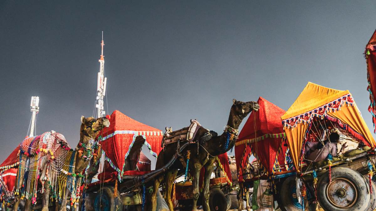 Concours de dromadaire à la foire de Pushkar