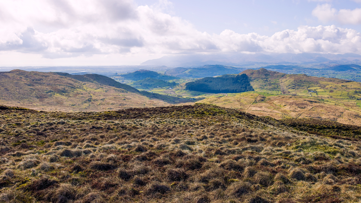 Le plateau du Cézallier en Auvergne