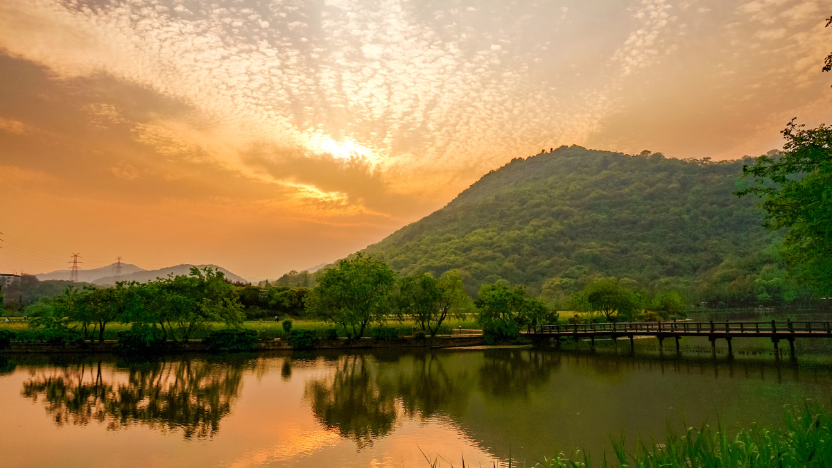 Le Sud, temple de la nature en Inde