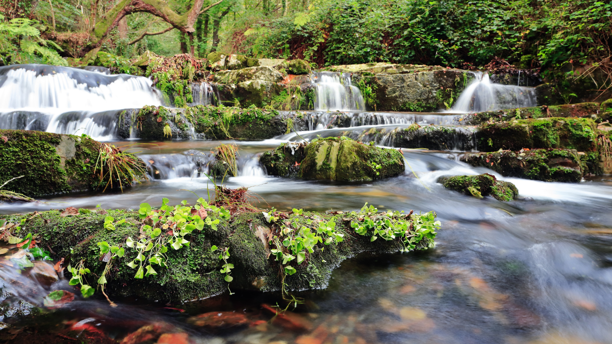 Nature au Nagaland