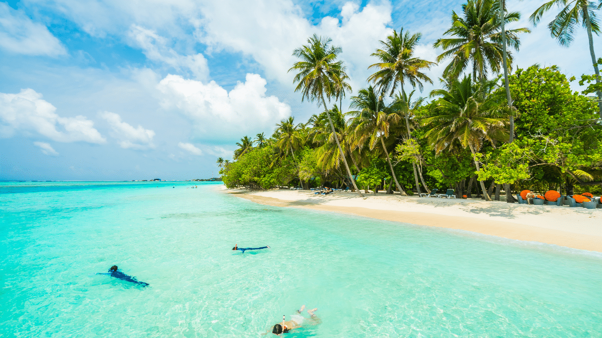 Pourquoi ces plages de rêve nous attirent-elles si irrésistiblement