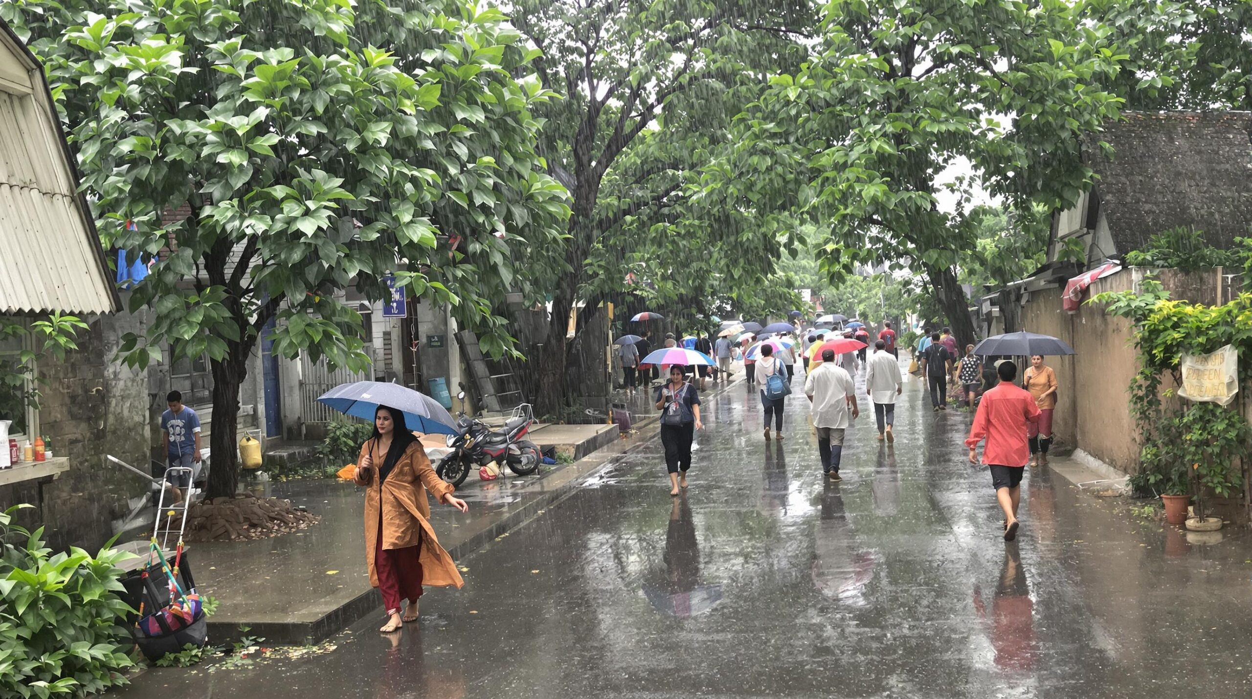 Inde : où trouver le beau temps quand la météo bouleverse tout votre voyage