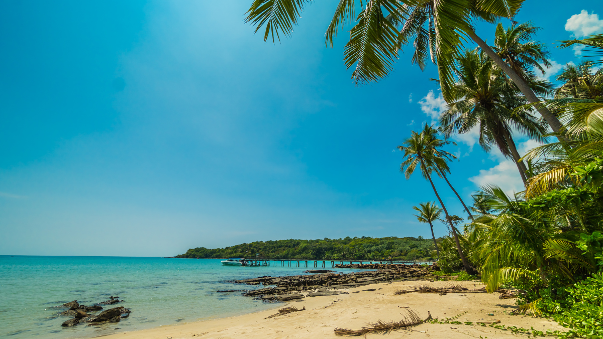 une plage en inde